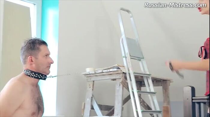 Госпожа и её преданный пес