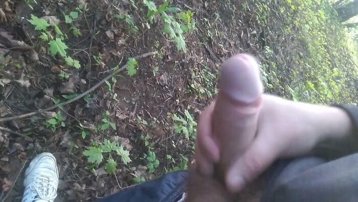 Дрочу на прогулке