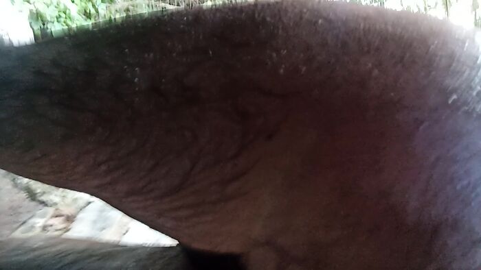 Мои желания