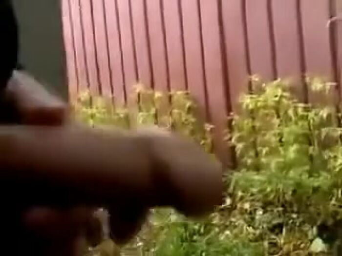 Люблю так дрочить