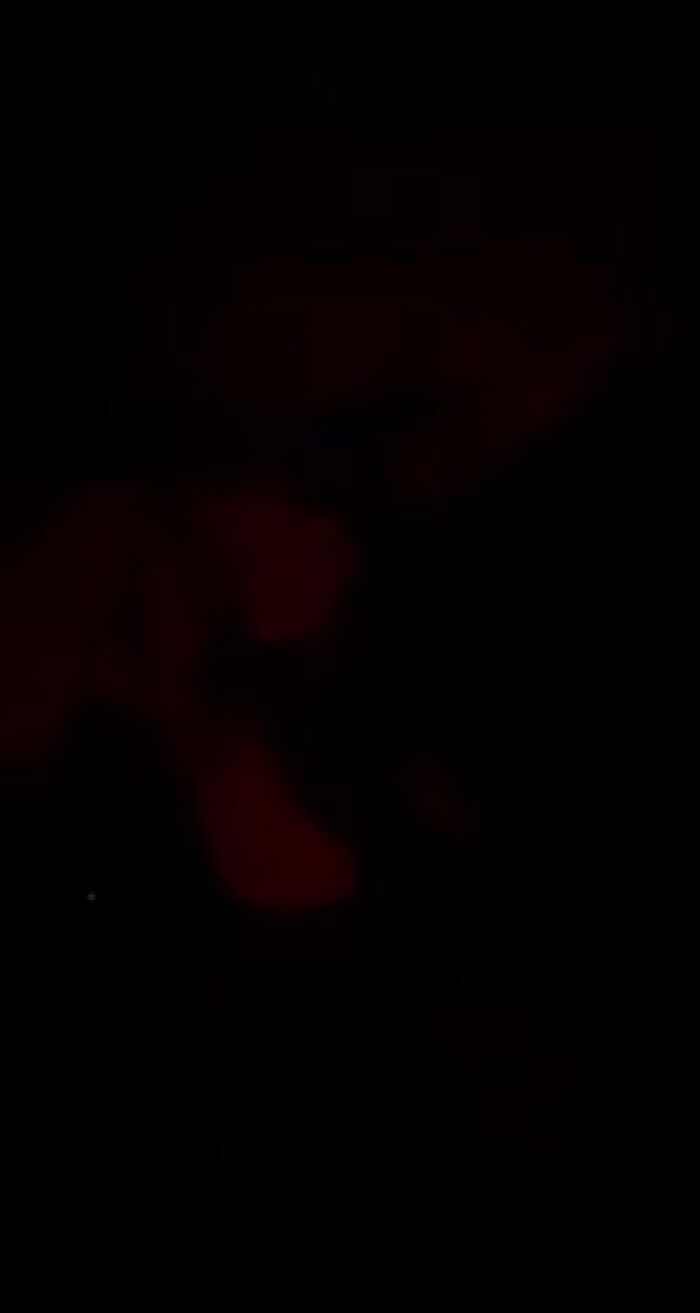 Миньет от любимой жены