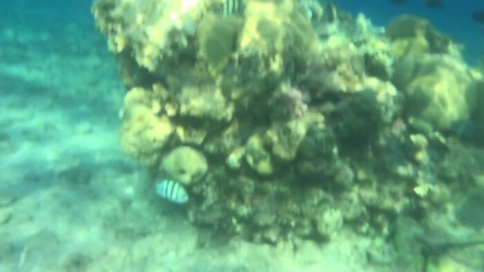 Красное море