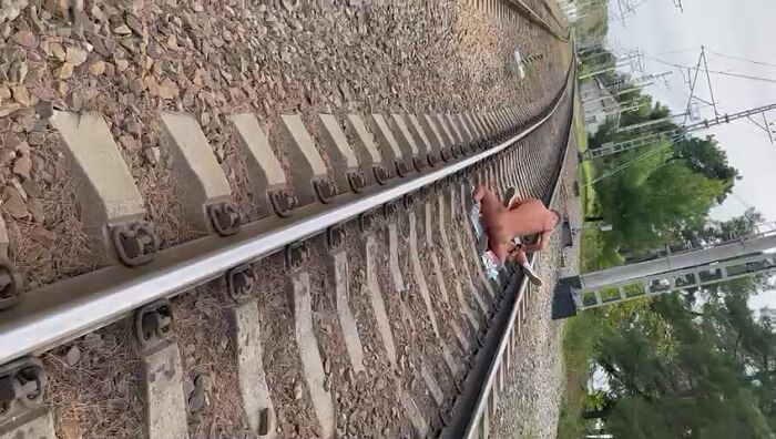 Ох уж этот  Сочи....