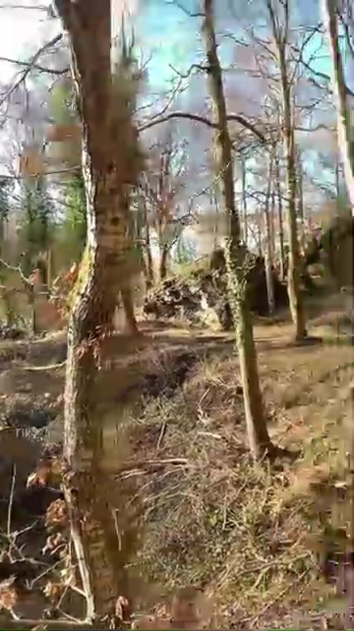 Личные видео