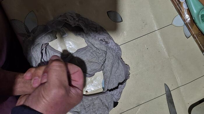 Дрочу на трусики