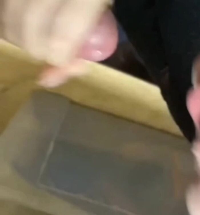,,,,,,))