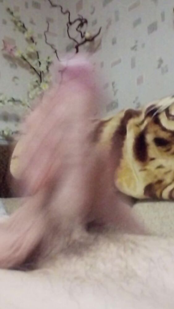 Я немного передернул