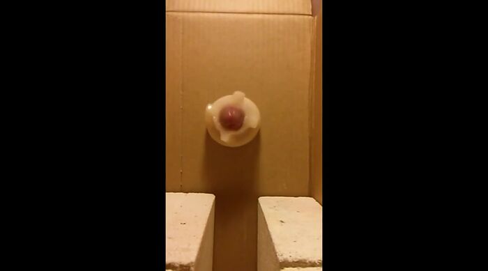 молодой раб выполняет приказ