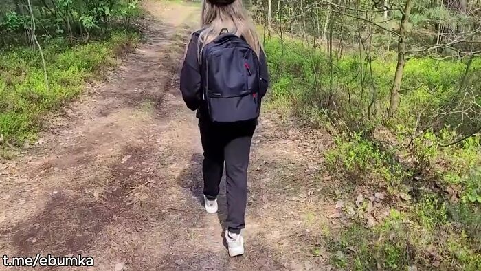 Лесные тропы