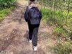 Лесные тропы