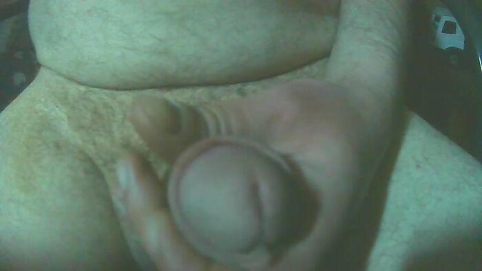 Утренняя дойка.)