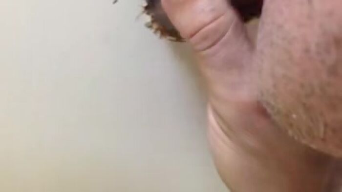 Очень люблю