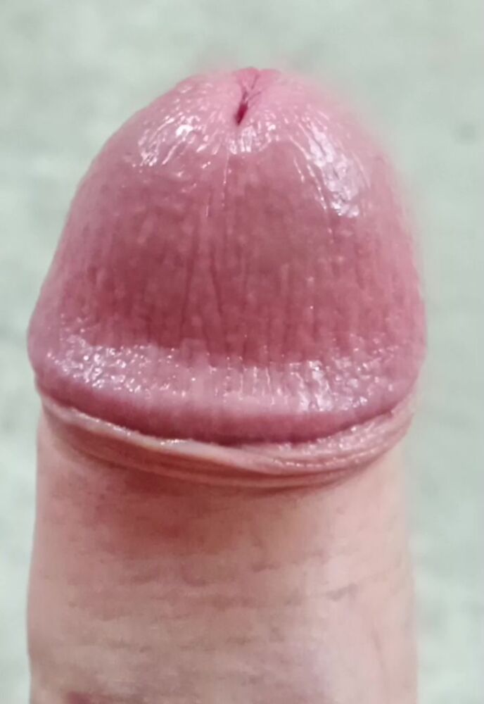 Мой