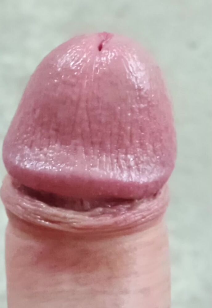 Мой