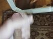 Для одной кисуни