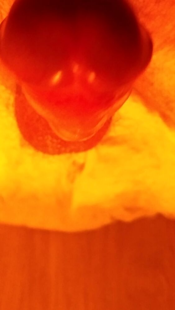 Пісічка моя)