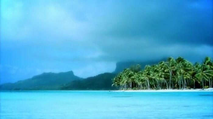 Нудисты едут на моря