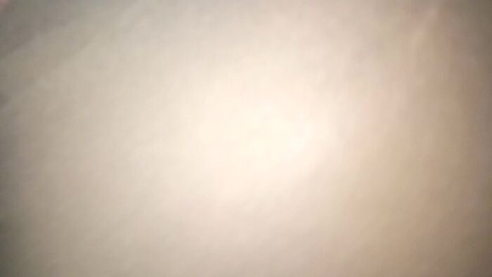 Люблю когда вафлят