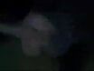 зеки на видео заявляюто отом  что всех петушков ожидает