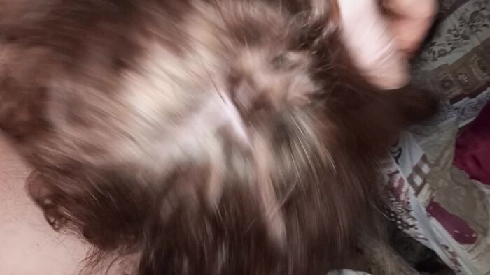 26 много бушнули