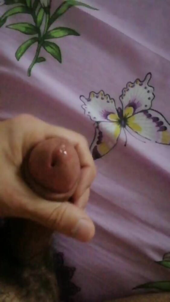 Третий раз за утро