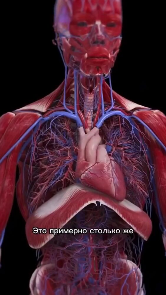 Про здоровье и релакс