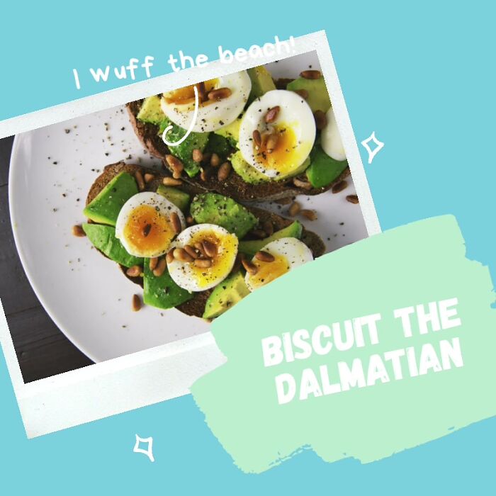 Плюх жух мух