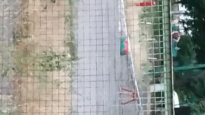 Жду ваших сценариев и приказов пишите в viber номер мой