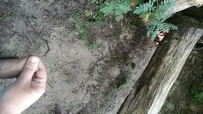 Дрочу на природе