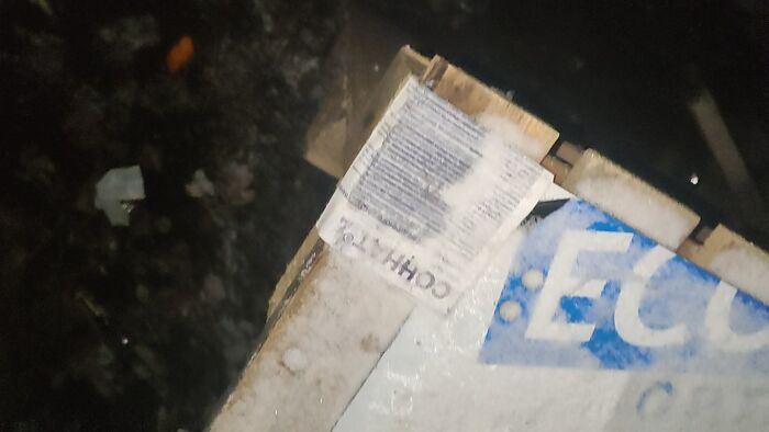 Кланенько на природе пивасик пить кто со мной?