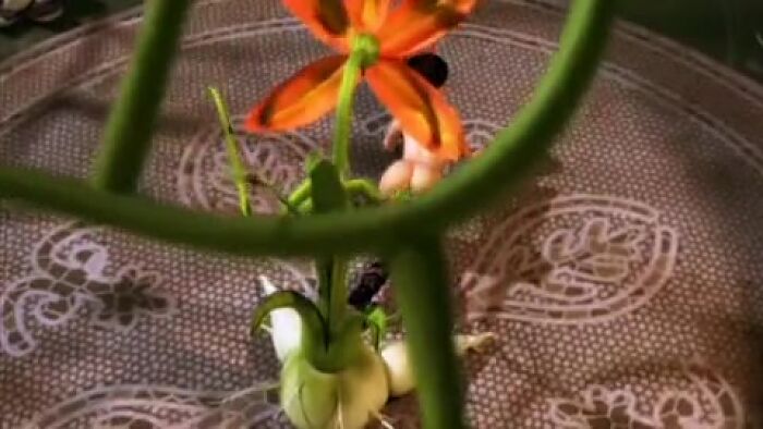 Полнометражный мультфильм для взрослых