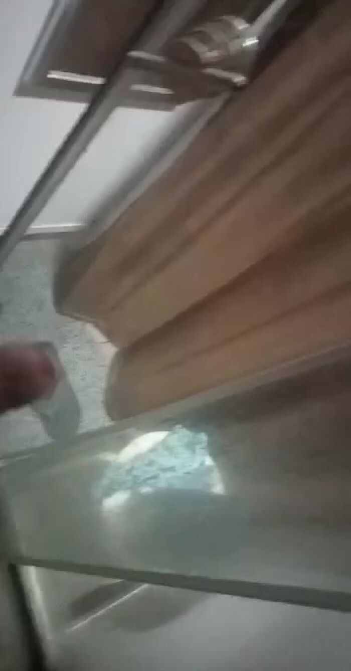 Хто хоче його? Пиши коменти