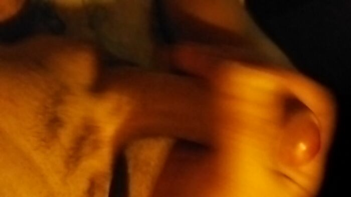 Кончаю на фотоотчёт жены