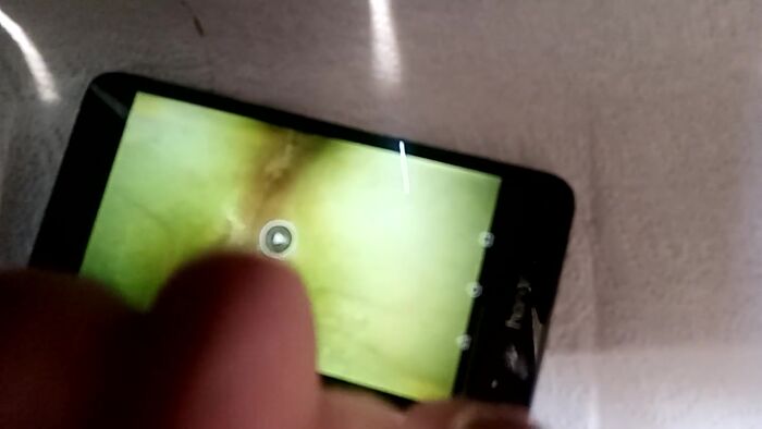 Друг на наше видео