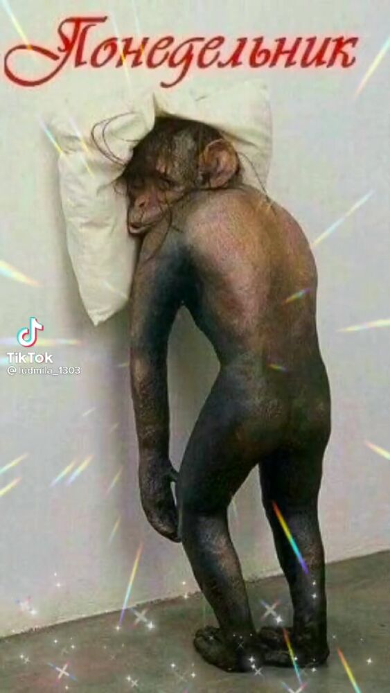 Понедельник день прекрасный