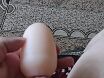 з мастурбатором
