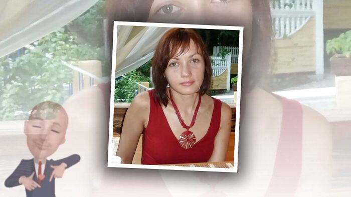 звезда сети