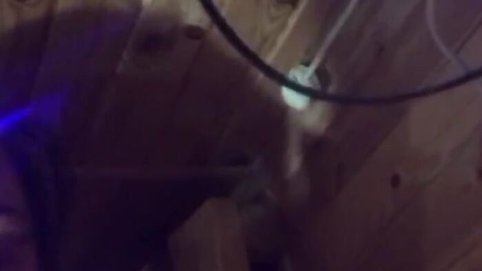 ммм люблю коли чоловік кінчає на лице ????????????