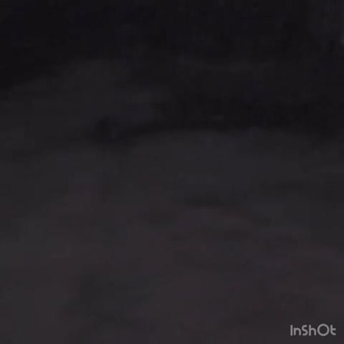 Меня Выгуливают в прозрачном платье