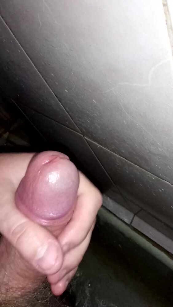 55454