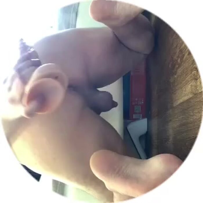 Хочу попробовать в Реале