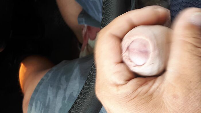 Вздрочнул на досуге