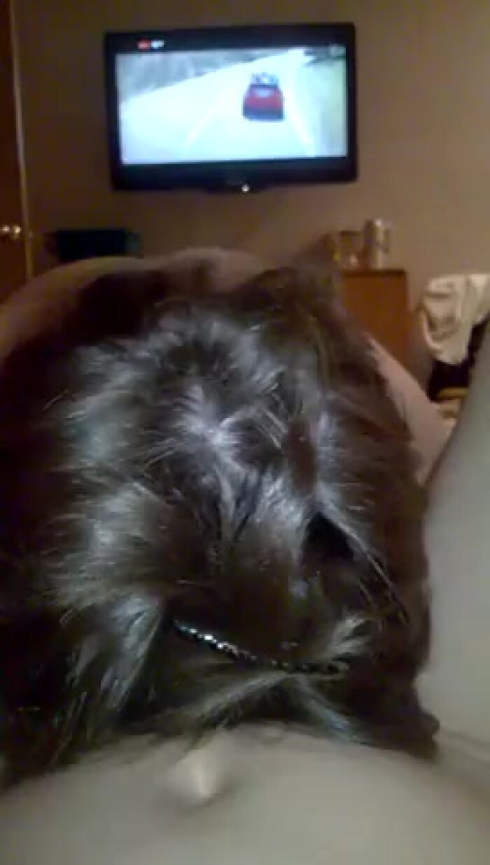 Написал на Мейл обслуживаю