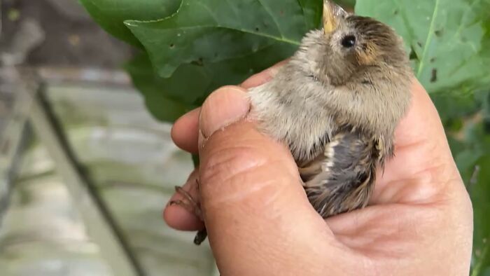 Личные видео