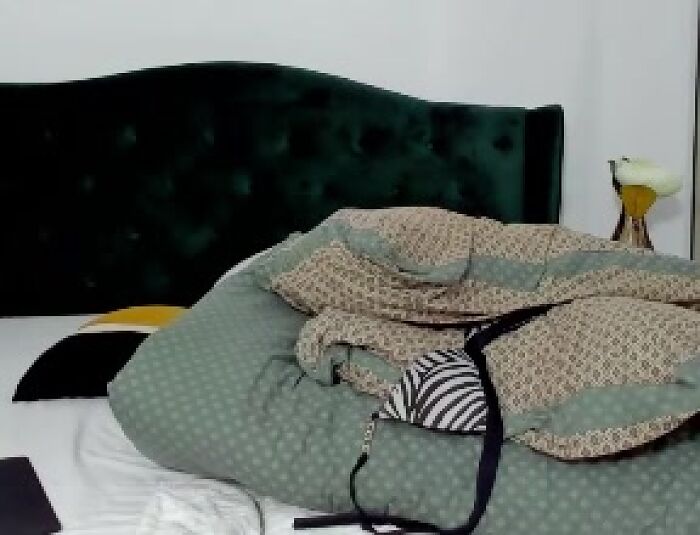 Утро начинается