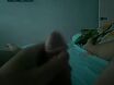 Для Насти из Лобни