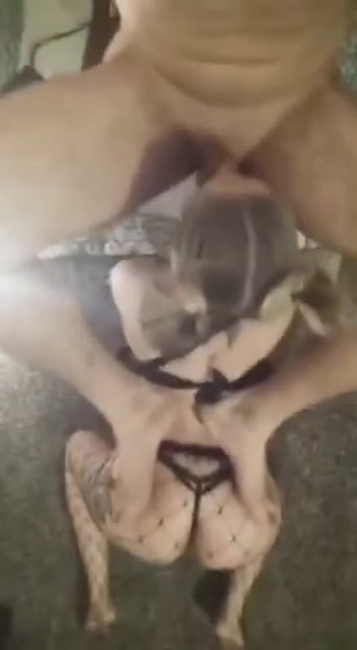 Усердно сосе блядь