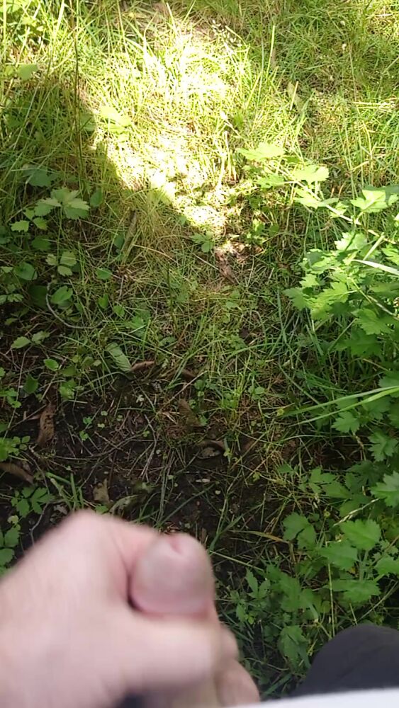 Дрочу в парке