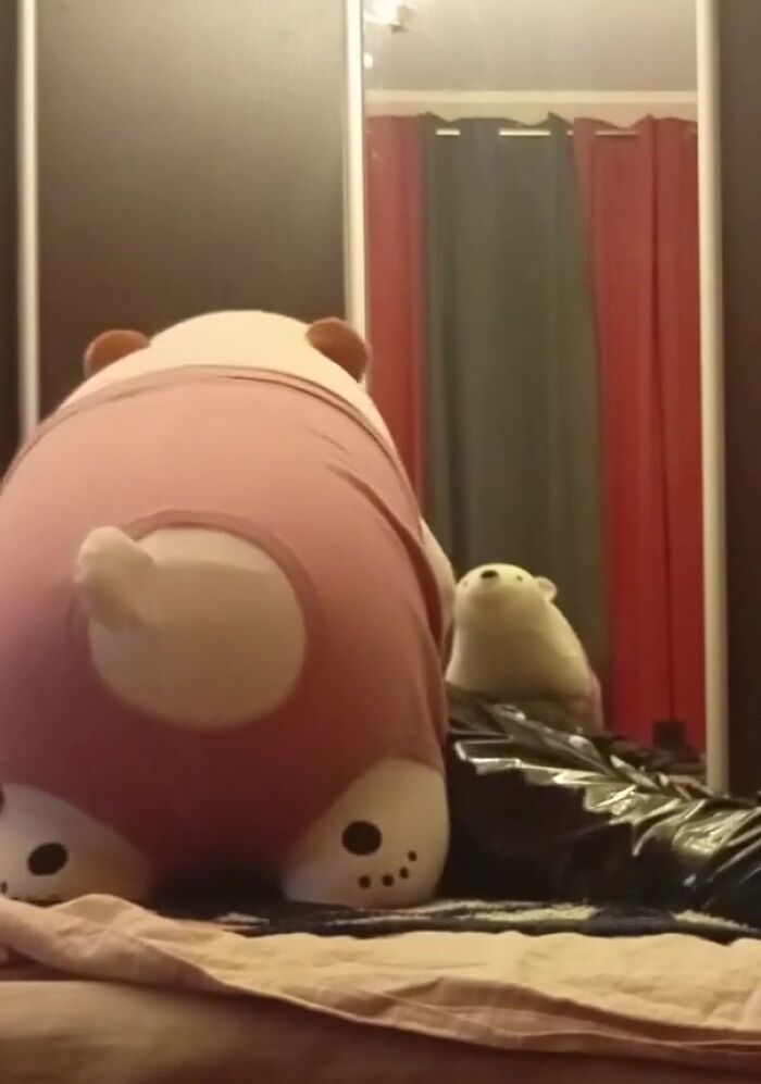 Умка отодрал меня в попку