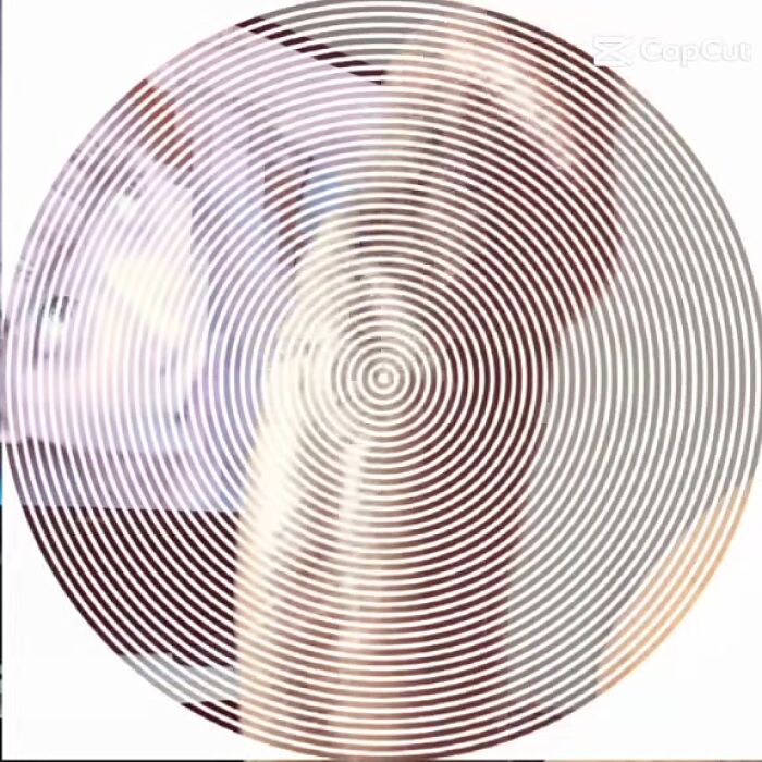 My throbbing long hard dick